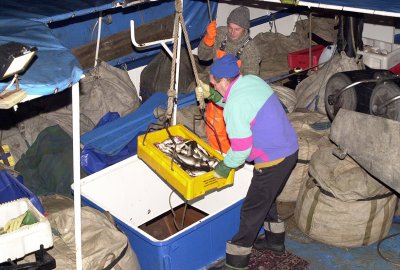 Polityczny kompromis w sprawie limitów połowowych na Bałtyku