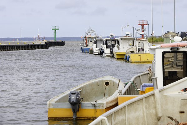Jest projekt zmian ustawy o rybołówstwie morskim