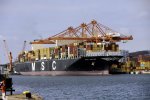Port Gdynia przeładował blisko 200 tys. ton zbóż więcej niż rok wcześnie...