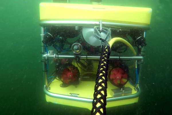 Policja nie wyklucza celowego uszkodzenia kabla w Zatoce Fińskiej