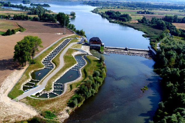 Wody Polskie proponują likwidację lub przebudowę 5 tysięcy barier na rze...