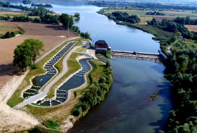 Wody Polskie proponują likwidację lub przebudowę 5 tysięcy barier na rze...