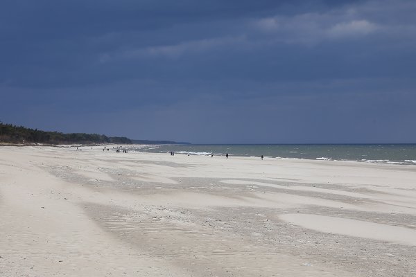 Sztorm Dave u wybrzeży Szwecji. Chwile grozy pasażerów promu 