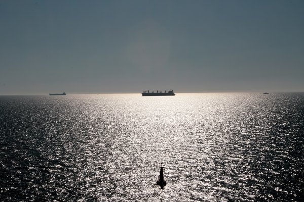 Rosyjska bandera nie chroni przed kontrolą