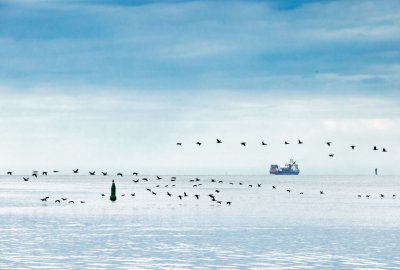 Ruszyły prace na budowie mikrotunelu przy projekcie FSRU Offshore