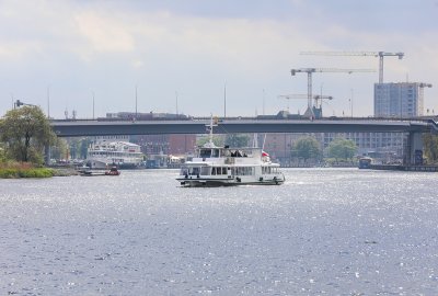 Szczecin: Badania wody w Odrze nie wykazały tzw. złotej algi