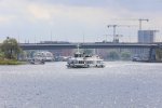 Szczecin: Badania wody w Odrze nie wykazały tzw. złotej algi