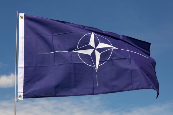 Francja: NATO nie jest przeznaczone do prowadzenia operacji w cieśninie ...