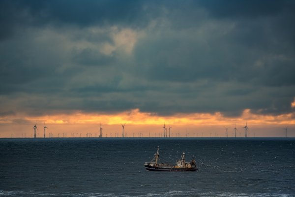 Morze Wiatru: Kampania PSEW i Fundacji ORLEN rozprawia się z mitami