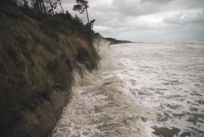 Cyfrowy bliźniak Morza Bałtyckiego pozwoli ma lepsze planowanie prognoz ...