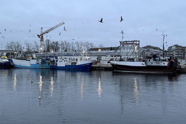 Rybołówstwo znika z mapy Pomorza - raport GUS za 2024 rok