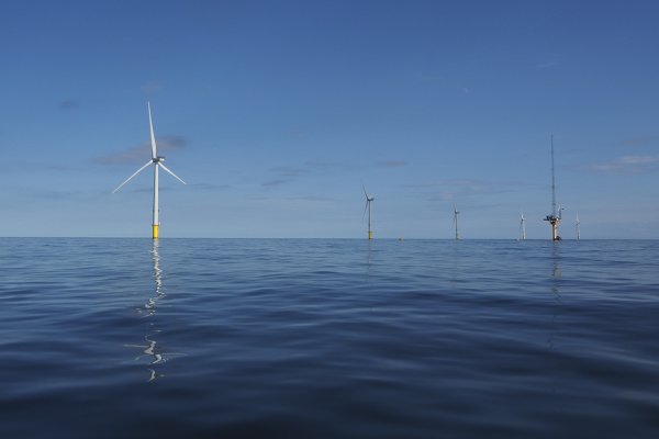 Biernacki: PSL-Koalicja Polska stawia na rozwój zielonej energii