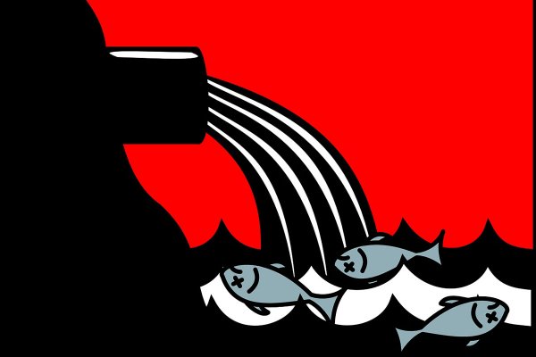 Wody Polskie: zrzut ścieków do Wisły największą katastrofą ekologiczną oczyszczalni ści...