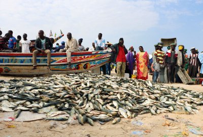 500 rybaków z Senegalu zaraziło się tajemniczą chorobą skóry