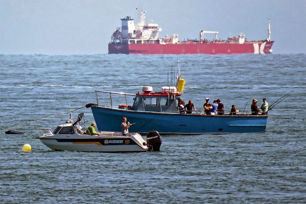 MGMiŻŚ apeluje do wędkarzy, by zrezygnowali z blokady strategicznych portów