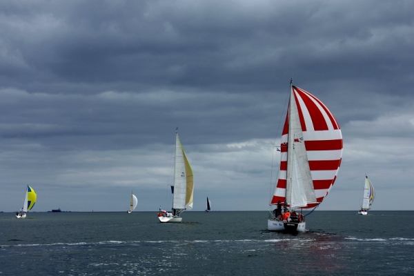 SailBook Cup po raz siódmy
