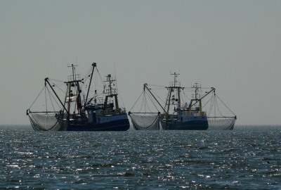 UE/KE proponuje ograniczenie połowów dorsza na Bałtyku