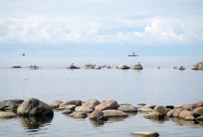 Greenpeace: Nord Stream 2 zagraża ekosystemowi Zatoki Fińskiej