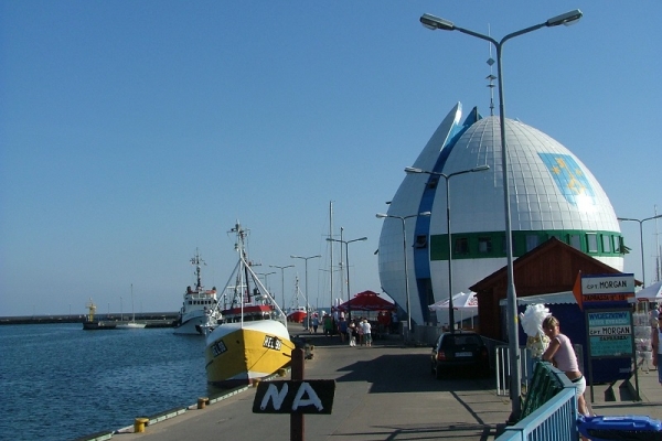 Wodoloty wrócą na Zatokę Gdańską