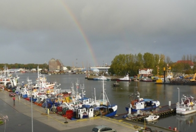 Rozbudują port