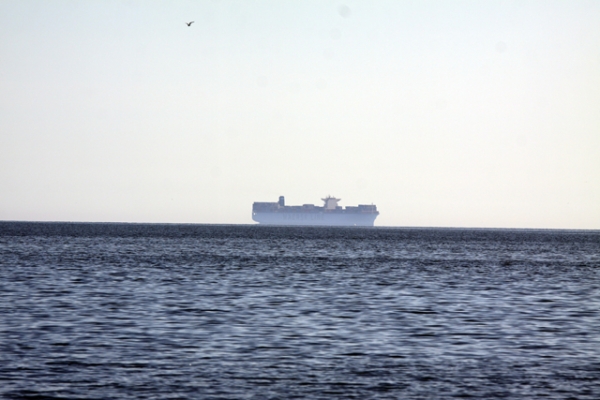 Maersk Elba w gdańskim porcie