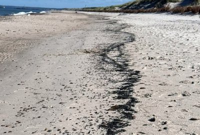 Nieznana substancja na plażach w okolicy Ustki