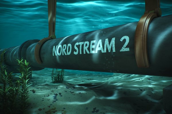 Motyka: poparcie Brauna dla Nord Stream to poparcie dla Putina