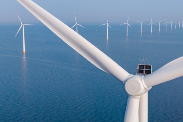 Pierwszy prąd z Morskiej Farmy Wiatrowej Baltica 2 popłynie w II kw. 202...