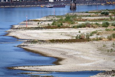 Armatorzy ostrzegają, że ruch towarowy na Renie zostanie wstrzymany